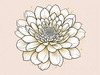 Minimalist Line Art of Chrysanthemum's Layered Petal Heart
