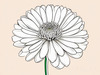 Minimalist Line Art of Chrysanthemum's Layered Petal Heart