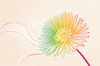Minimalist Line Art of Chrysanthemum's Layered Petal Heart