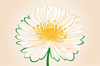 Minimalist Line Art of Chrysanthemum's Layered Petal Heart