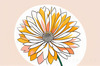 Minimalist Line Art of Chrysanthemum's Layered Petal Heart