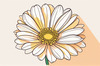 Minimalist Line Art of Chrysanthemum's Layered Petal Heart