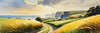 Coastal Meadow with Bending Grasses and Cliffs Over Turbulent Ocean Waves