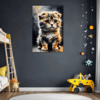 Curled-Ear Scottish Fold Children's Room Demo
