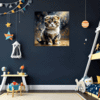 Curled-Ear Scottish Fold Children's Room Demo