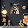 Curled-Ear Scottish Fold Children's Room Demo