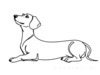 Minimalist Line Art of a Playful Dachshund
