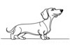 Minimalist Line Art of a Playful Dachshund