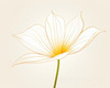 Minimalist Line Art of Tulip Contour with Petal Overlap
