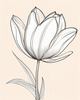 Minimalist Line Art of Tulip Contour with Petal Overlap