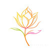 Minimalist Line Art of Tulip Contour with Petal Overlap