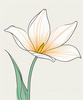 Minimalist Line Art of Tulip Contour with Petal Overlap