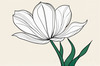 Minimalist Line Art of Tulip Contour with Petal Overlap