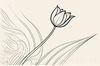 Minimalist Line Art of Tulip Contour with Petal Overlap