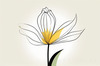 Minimalist Line Art of Tulip Contour with Petal Overlap