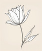 Minimalist Line Art of Tulip Contour with Petal Overlap