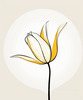 Minimalist Line Art of Tulip Contour with Petal Overlap