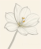Minimalist Line Art of Tulip Contour with Petal Overlap