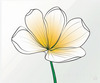Minimalist Line Art of Tulip Contour with Petal Overlap