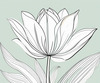 Minimalist Line Art of Tulip Contour with Petal Overlap