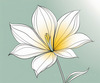 Minimalist Line Art of Tulip Contour with Petal Overlap