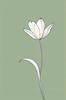 Minimalist Line Art of Tulip Contour with Petal Overlap