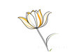 Minimalist Line Art of Tulip Contour with Petal Overlap