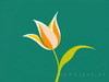 Minimalist Line Art of Tulip Contour with Petal Overlap