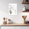 Dew Drops on Spider Web Kitchen Demo
