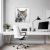 Domestic Grey Tabby Office Demo