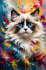 Expressive Ragdoll Cat in Dream State with Passionate Hues Art Print