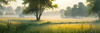 Meadow with Morning Mist and Glistening Dew on Spiderwebs at Sunrise