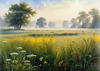 Meadow with Morning Mist and Glistening Dew on Spiderwebs at Sunrise