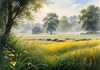 Meadow with Morning Mist and Glistening Dew on Spiderwebs at Sunrise