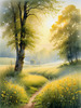 Meadow with Morning Mist and Glistening Dew on Spiderwebs at Sunrise