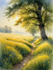 Meadow with Morning Mist and Glistening Dew on Spiderwebs at Sunrise