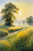 Meadow with Morning Mist and Glistening Dew on Spiderwebs at Sunrise