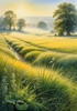 Meadow with Morning Mist and Glistening Dew on Spiderwebs at Sunrise