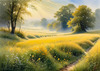 Meadow with Morning Mist and Glistening Dew on Spiderwebs at Sunrise