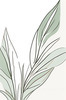 Minimalist Line Art of an Elegant Banana Leaf
