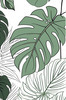 Minimalist Line Art of an Elegant Monstera Leaf