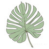 Minimalist Line Art of an Elegant Monstera Leaf