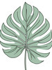 Minimalist Line Art of an Elegant Monstera Leaf
