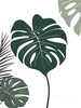 Minimalist Line Art of an Elegant Monstera Leaf