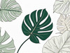 Minimalist Line Art of an Elegant Monstera Leaf