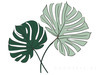 Minimalist Line Art of an Elegant Monstera Leaf