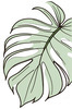 Minimalist Line Art of an Elegant Monstera Leaf