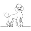 Minimalist Line Art of a Poodle in Elegant Poise