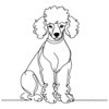 Minimalist Line Art of a Poodle in Elegant Poise