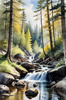 Enchanted Forest Brook Cascading Over Rocks with Tree and Sky Reflections Art Print